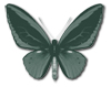 HR Futures Butterfly